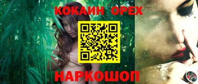 гашик Обь