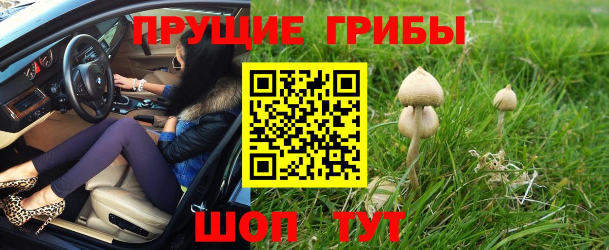 Галлюциногенные грибы мухоморы Спасск-Дальний